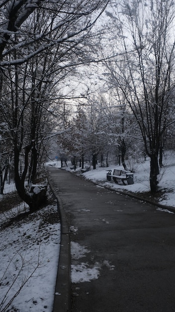 Um ambiente natural no inverno