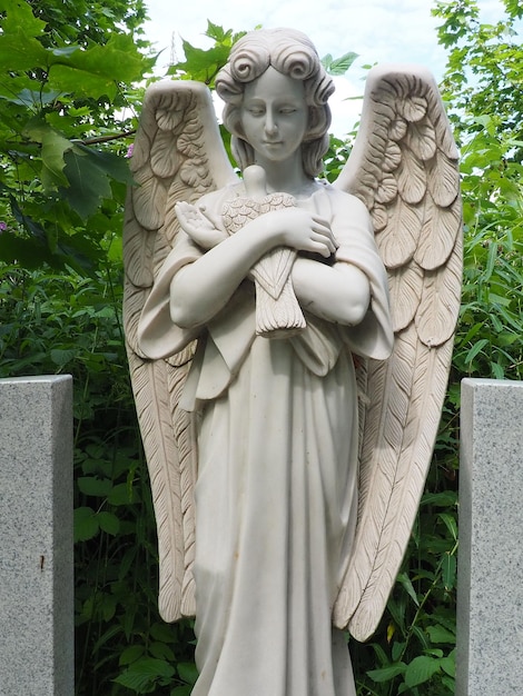 Um anjo com uma pomba Escultura no cemitério A figura de um anjo com asas segurando um pássaro em seus braços Lamentação pelo falecido Monumento da lápide em um túmulo cristão Tristeza e tristeza