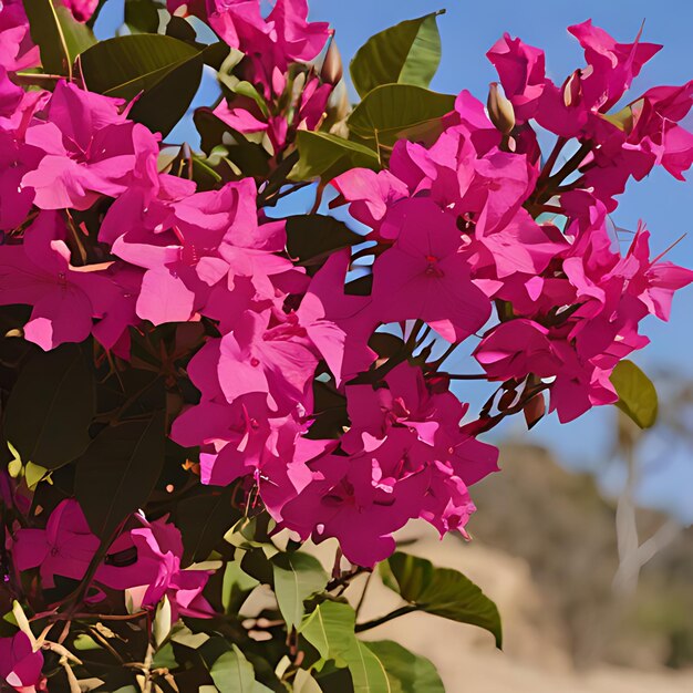 Foto um arbusto com flores roxas que dizem primavera