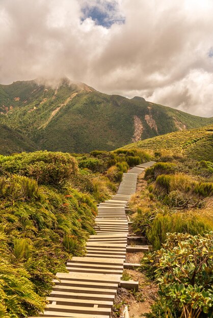 Um arbusto nativo exuberante nas encostas do Monte Taranaki, caminhando até os alpinos Pouakai Tarns