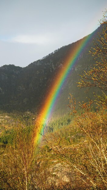 Um arco-íris aparece no lado de uma montanha.