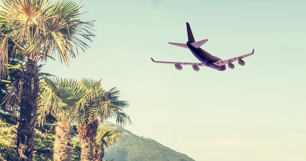 Um avião de passageiros voa no céu, jornada de destino de viagem