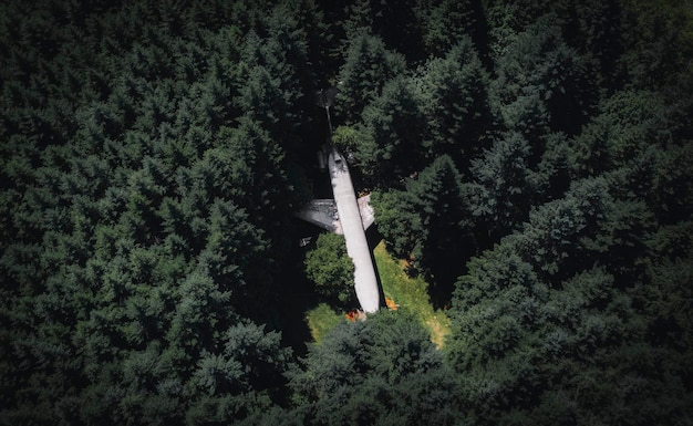 Um avião na floresta em Hillsboro, Oregon, EUA