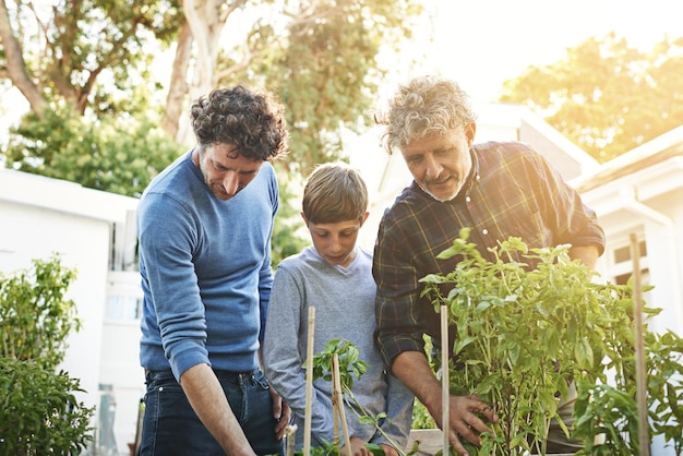 Um avô pai e filho trabalhando no jardim com gerações familiares e natureza com plantas no quintal de casa Unindo amor e cuidado ajudando homens e crianças na jardinagem ao ar livre com o meio ambiente