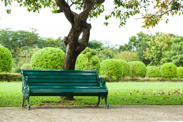 Foto um banco contra as árvores no parque.