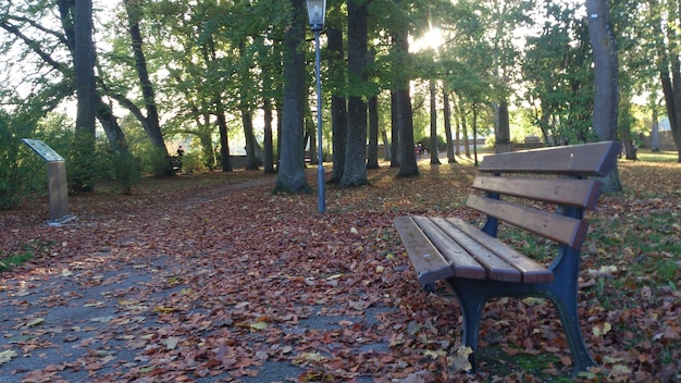 Foto um banco de parque nas folhas de outono com a palavra parque na parte inferior.