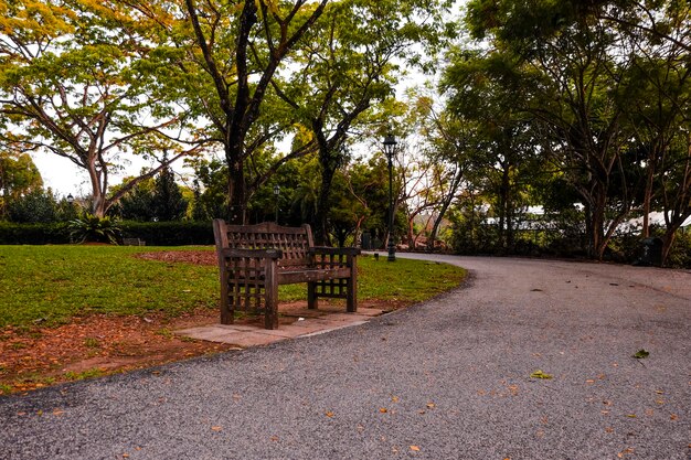 Um banco num parque.