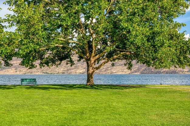 Foto um banco solitário na costa com vista para o lago e as montanhas debaixo da castanha