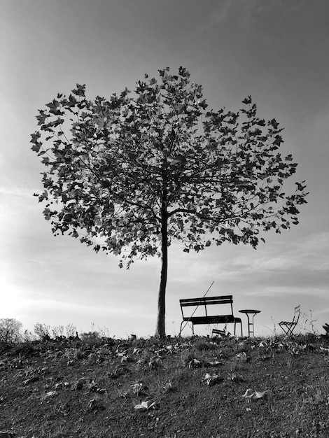 Um banco vazio no campo contra o céu