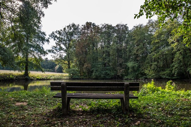 Foto um banco vazio no parque ao lado do lago contra o céu