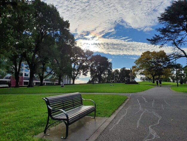 Foto um banco vazio no parque, no campo, contra o céu.