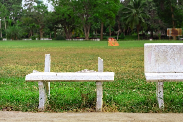 Foto um banco vazio no parque.