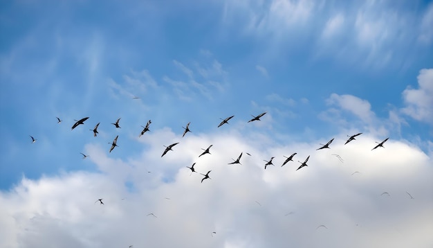 Um bando de pássaros voando pelo céu em perfeita formação