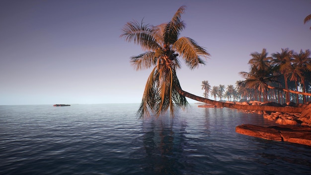 Um barco na água com uma palmeira ao fundo