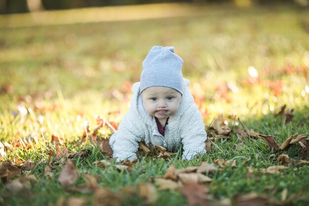 Um bebé adorável a rastejar nas folhas caídas à luz do sol da manhã.