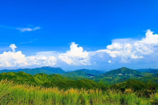 Um belo campo de primavera com uma grama verde e a montanha em céu azul nuvens brancas