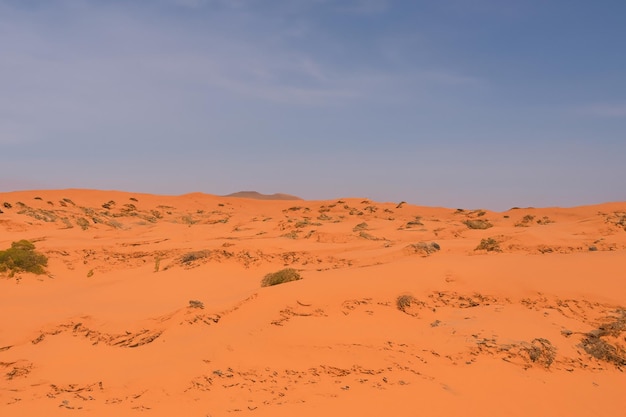 Um belo fundo de deserto.