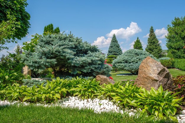 Foto um belo jardim de quintal com arbustos e árvores de bonsai bem cortados