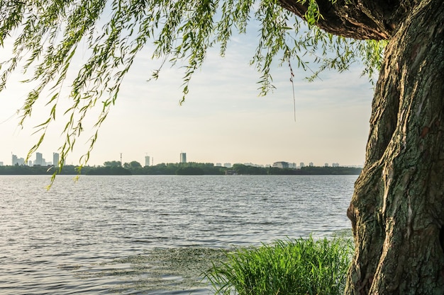 Um belo parque da cidade ao lado do lago.