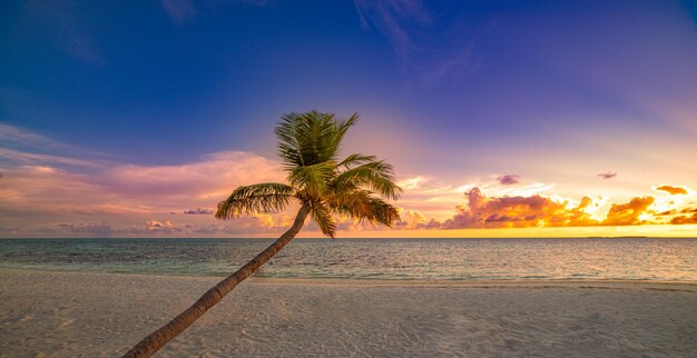 Um belo pôr-do-sol brilhante numa praia de paraíso tropical