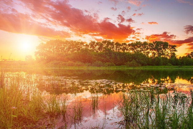 Um belo pôr do sol de verão