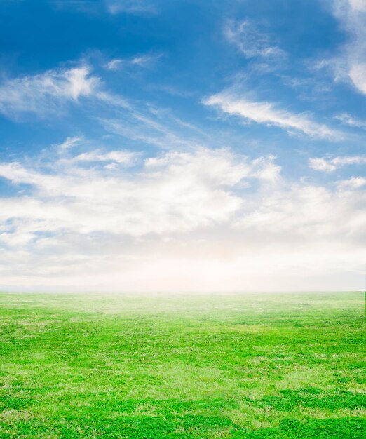 Foto um belo prado colorido e um céu azul ensolarado