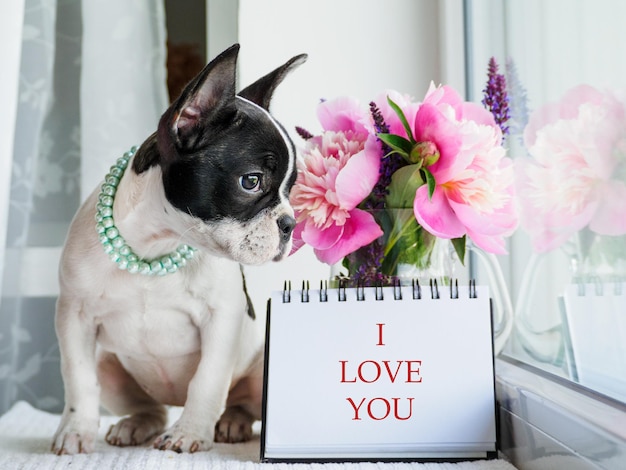 Foto um bonito buquê de flores brilhantes e um caderno.