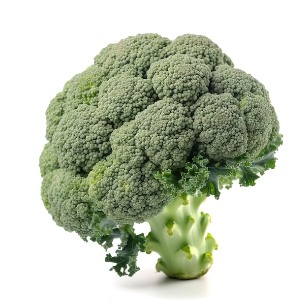 Um brócolis está em cima de um pedaço de brócolis.