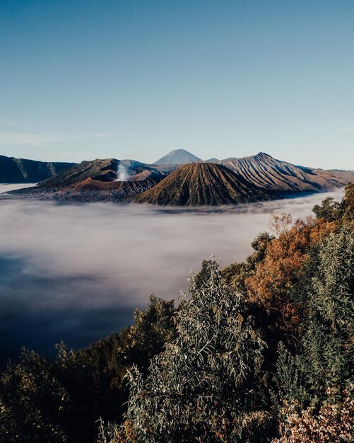 Foto um bromo maravilhoso.