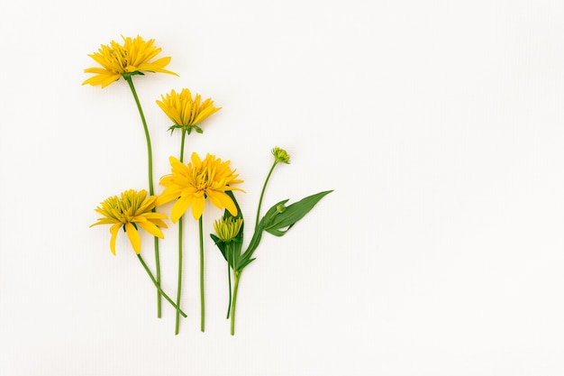 Um buquê de flores amarelas sobre um fundo branco com um lugar para design.