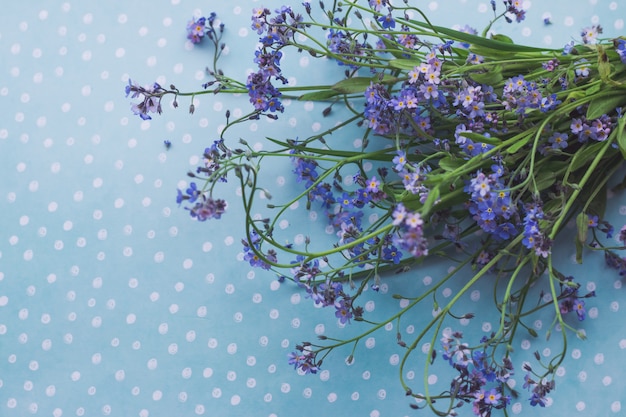 Um buquê de flores de lavanda azul em uma vista superior de luz de fundo