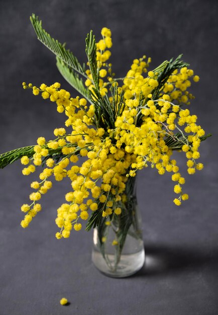 Um buquê de flores de mimosa amarelas fica em um vaso de vidro em um fundo cinza escuro