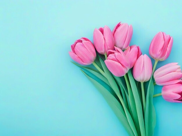 Um buquê de flores de tulipas cor-de-rosa em fundo azul pastel