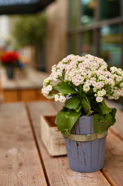 Um buquê de flores em uma decoração de mesa ao ar livre de vaso de madeira decorativo.