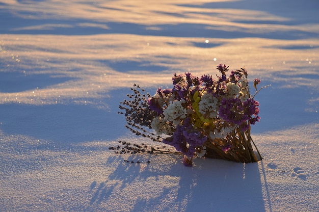 Um buquê de flores fica em um campo coberto de neve iluminado pelo sol brilhante