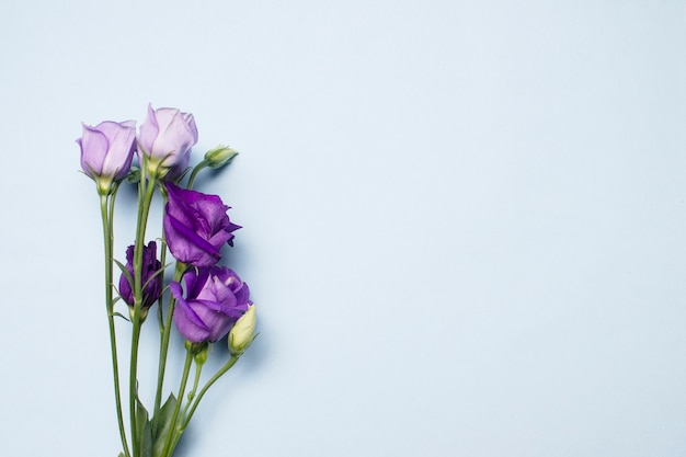 Um buquê de flores roxas e brancas em um fundo azul claro