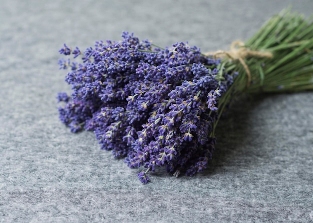 Um buquê de lavanda fresca em um fundo cinza 3