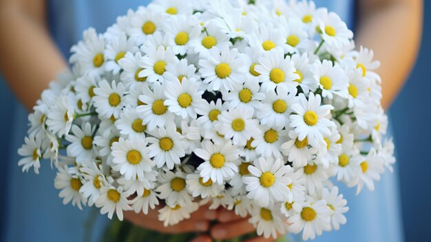 Foto um buquê de margaridas na mão