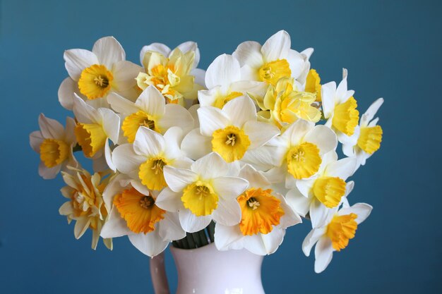 Um buquê de narcisos cultivados como fundo floral