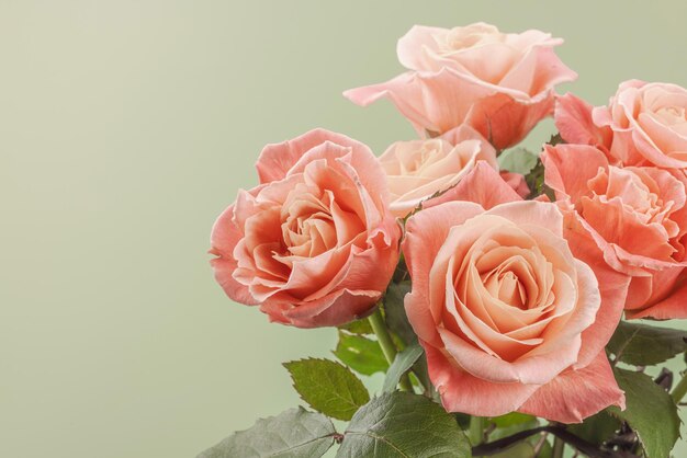 Foto um buquê de rosas em vaso em um fundo verde pastel bloomin