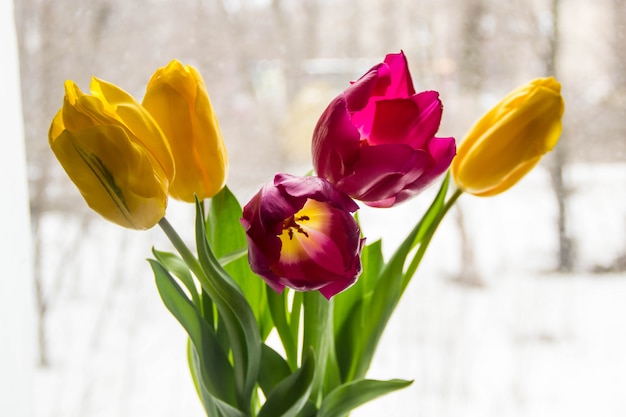 Um buquê de tulipas amarelas e rosa em um vaso no parapeito da janela. um presente de flores na janela.