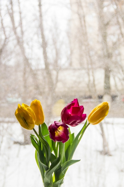 Um buquê de tulipas amarelas e rosa invade o peitoril da janela. um presente de flores na janela.