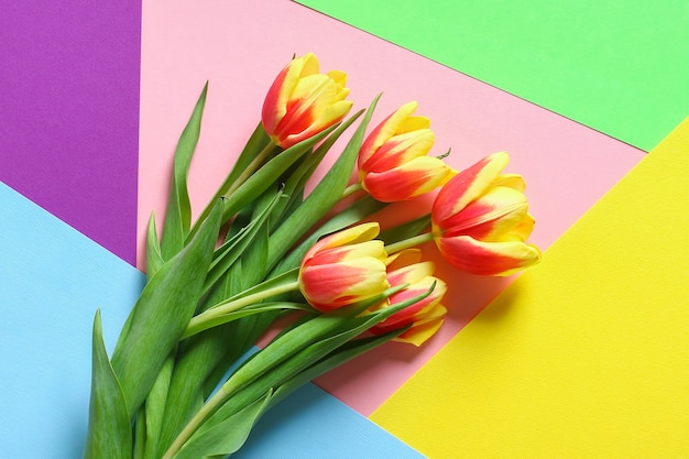 Um buquê de tulipas como um presente para março, dia das mães, dia dos namorados, decoração de páscoa