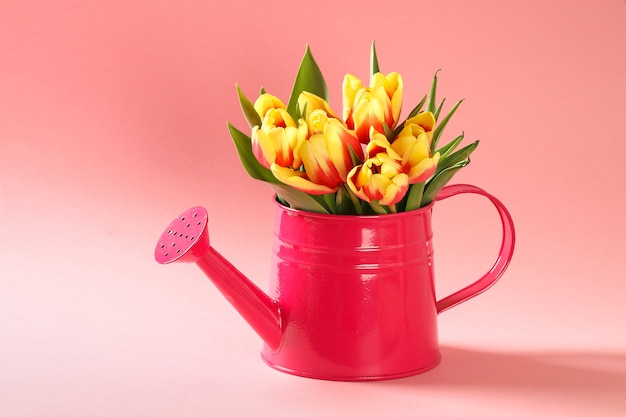 Um buquê de tulipas como um presente