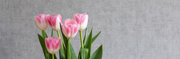 Um buquê de tulipas cor de rosa em um fundo de parede cinza