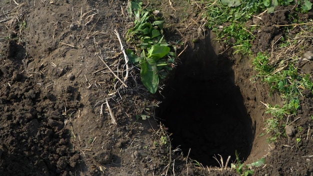 Um buraco no chão no meio do campo na primavera