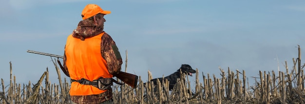 Um caçador com uma arma nas mãos em roupas de caça na floresta de outono em busca de um troféu Um homem está com armas e cães de caça rastreando o jogo