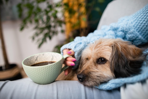 Um cachorro e uma garota durante seu ritual de café da manhã