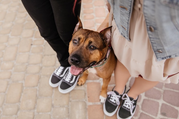 Um cachorro na coleira com uma pessoa ao lado deles