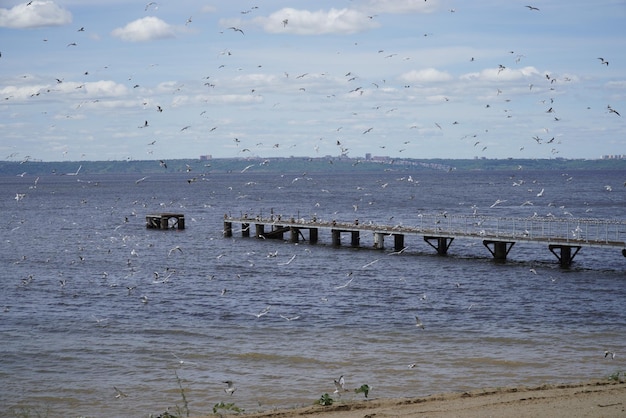 Um cais de concreto com uma cerca de metal no rio Volga Ulyanovsk Rússia